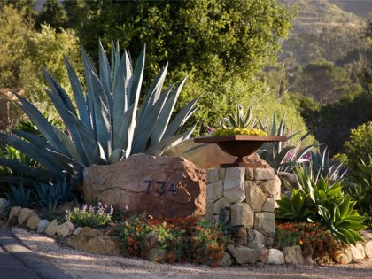 Drought Tolerant Landscapes